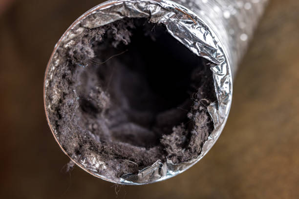 Best General Air Duct Cleaning  in Elkridge, MD